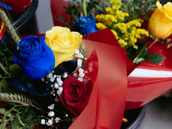 Roses per Sant Jordi a la floristeria Natturals d’Andorra